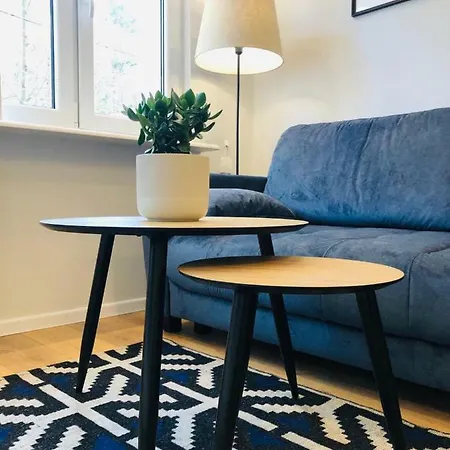 Apartament Z Widokiem Na 格丁尼亚