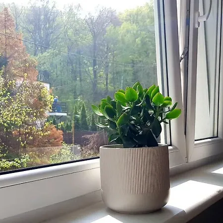 Apartament Z Widokiem Na