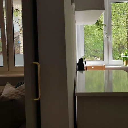 Apartament Z Widokiem Na * 格丁尼亚